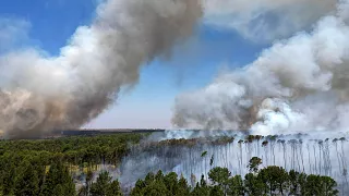 De la fumée s'élève alors que des incendies se propagent dans la forêt nationale de Brasilia, au Brésil, au milieu de la saison sèche.
